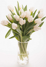 Букет 79 белые тюльпаны 